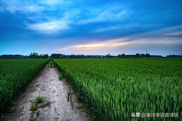 鄉間小路很愜意的句子愜意的鄉村生活的句子