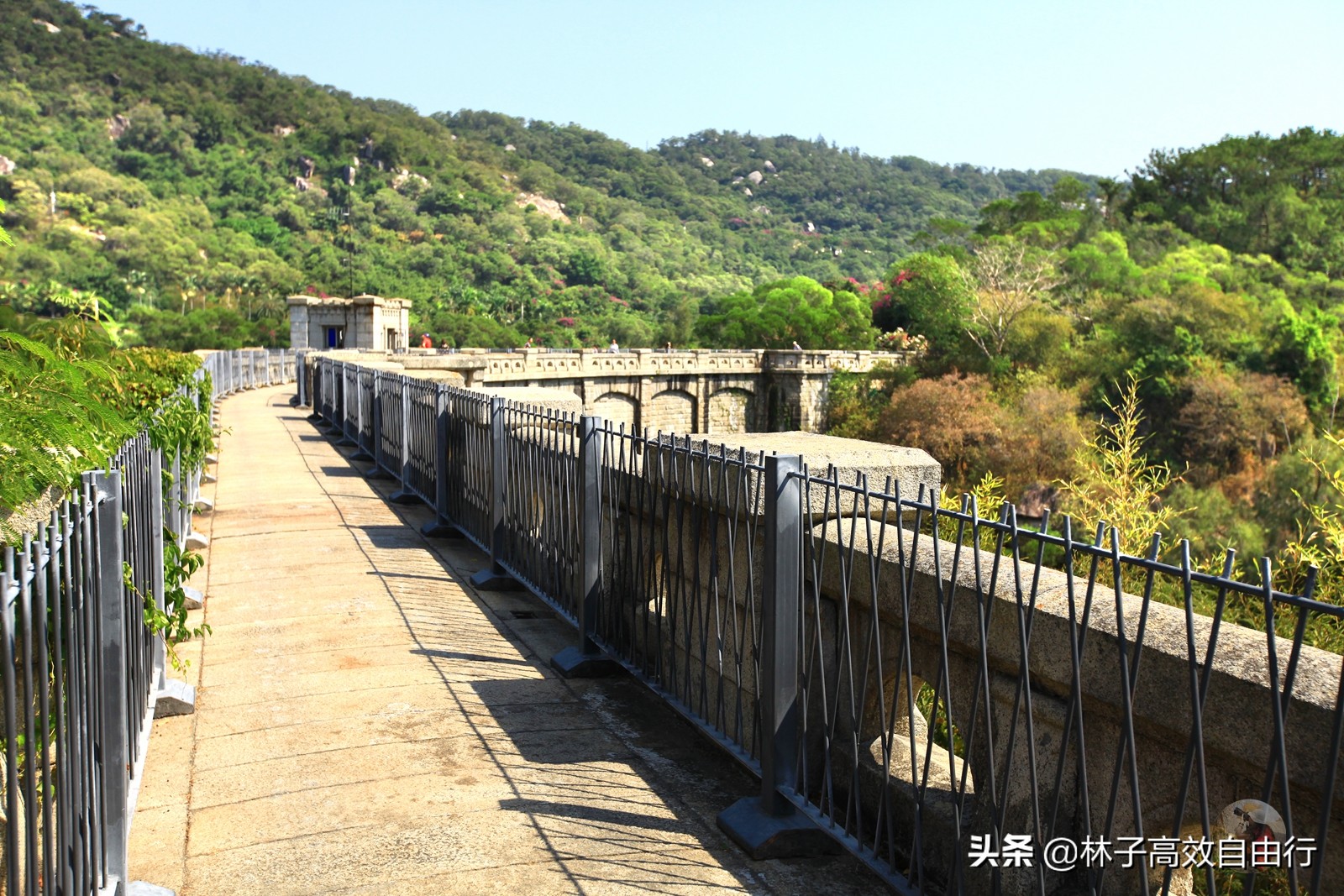 廈門島內旅遊景點有哪些(望山觀水,秋遊野餐好去處) 第4張